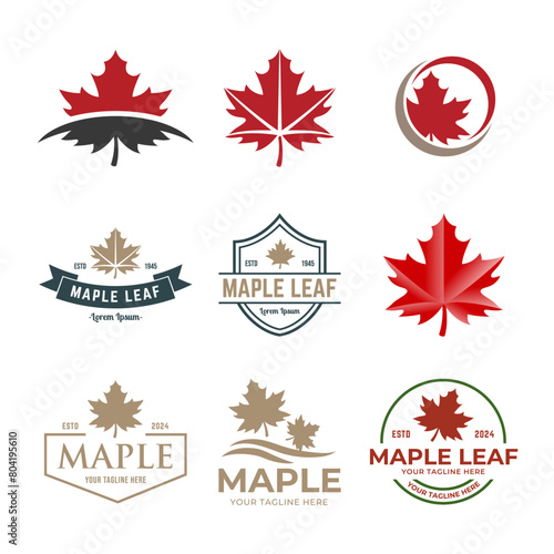 Set of Maple leaf vector logo. Forest and wood symbol sign. Nature tree logo.