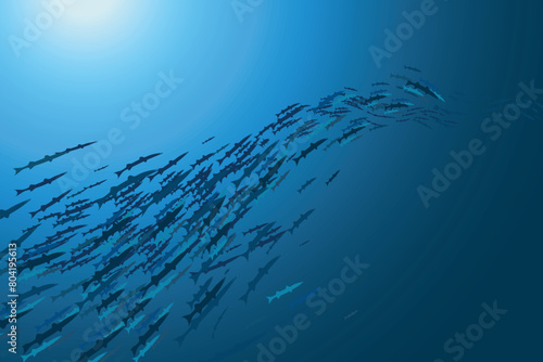 School of fish swimming underwater. A school of barracudas. Vector illustration.