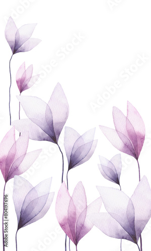A template for a holiday, postcards, invitations, greetings with a place for text. Delicate transparent pink, lilac watercolor flowers on a white background. A botanical hand-drawn illustration.