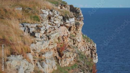 Rocky cliffs covered with soft grass tower above the fjord coast. photo