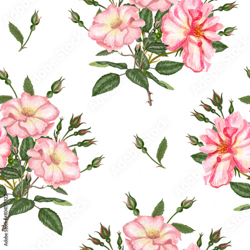 Watercolor seamless pattern with rosehip, Brier leaves and branches. photo