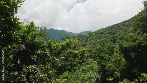 Aerial View of Lush Green El Yunque Rainforest, Puerto Rico