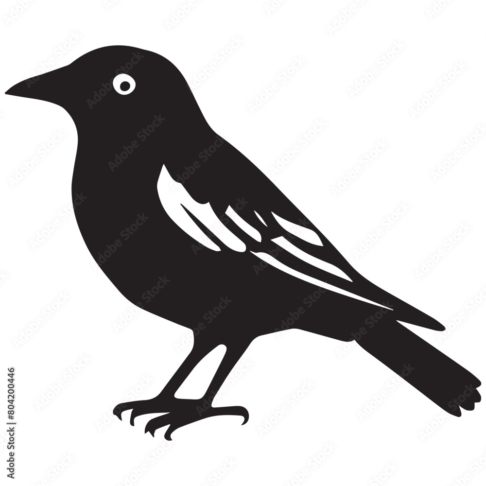 Obraz premium a black and white drawing of a bird with a white eye.