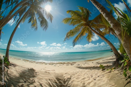 A wide-angle view of a sandy beach with palm trees swaying in the breeze and turquoise waters of the ocean in the background
