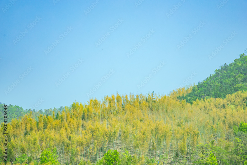 Obraz premium Martin Highway, Lu'an City, Anhui Province - winding mountain scenery against the blue sky