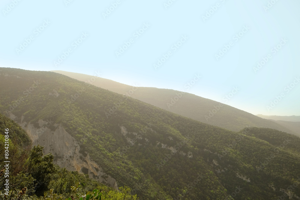 Obraz premium Picturesque view of green forest in mountains