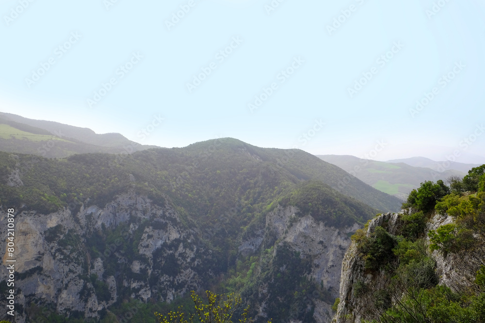 Picturesque view of green forest in mountains