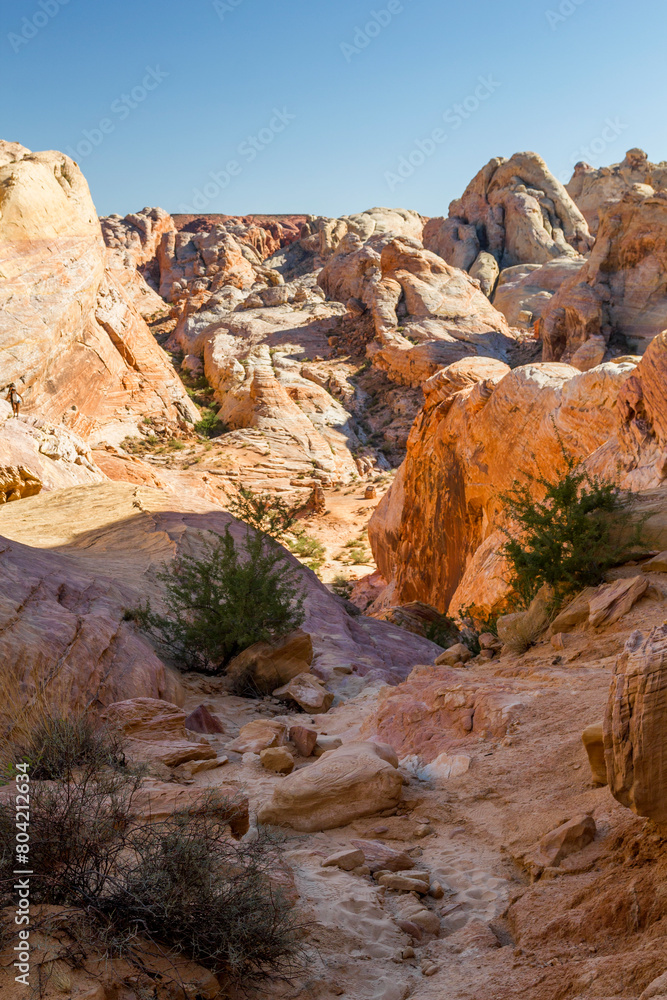 a hiking path through the unique and colorful sandstone rock formations of the valley of fire state park, nevada