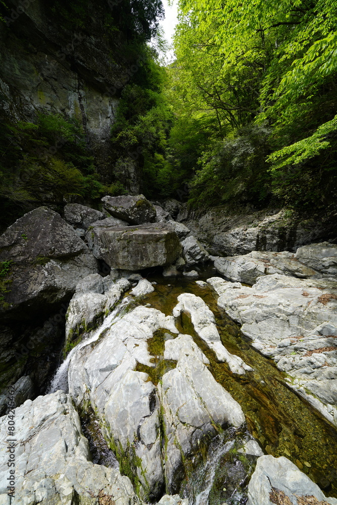 岩の間を流れる川　みたらい渓谷