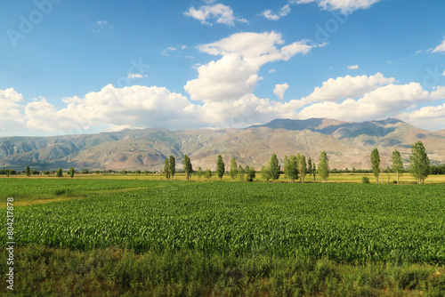 Spectacular landscpae seen on the train ride in the Eastern Express, Dogu Ekspresi from Kars to Ankara, green fields in front of mountains, clouds on a blue sky are throwing shadows, Turkey