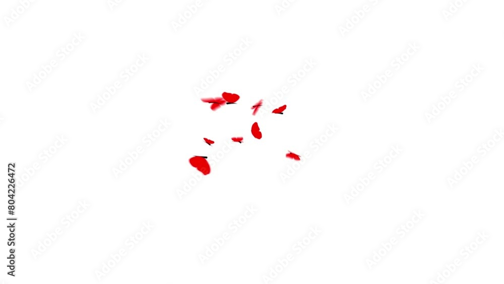 Red butterflies fluttering elegantly against a clean white backdrop. Red butterflies fluttering elegantly against a clean white backdrop.