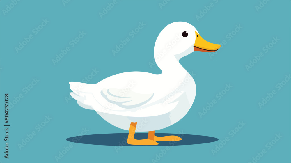 cute Duck tiny small wild animal Isolated on color