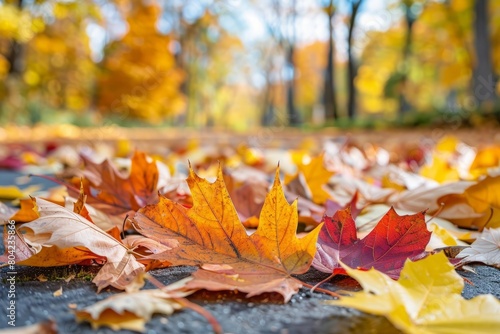 Vibrant autumn leaves with rich colors and intricate details lying scattered on the ground in a closeup low-angle shot