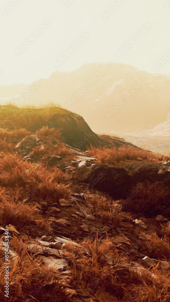 A grassy field with a mountain in the background A grassy field with a mountain in the background