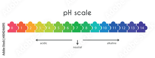 Scale of pH values for acid-base solution in form of puzzles. Infographics of acid-base balance isolated on white background. Indicator of hydrogen ion concentration in solution. Vector illustration.