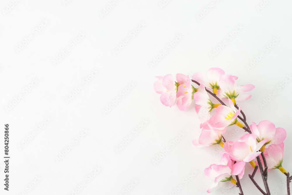 Fake plastic cherry blossoms for decoration. Pink sakura flowers bouquet isolated on white background