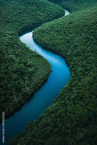 Aerial view of a blue river passing through dense rainforest