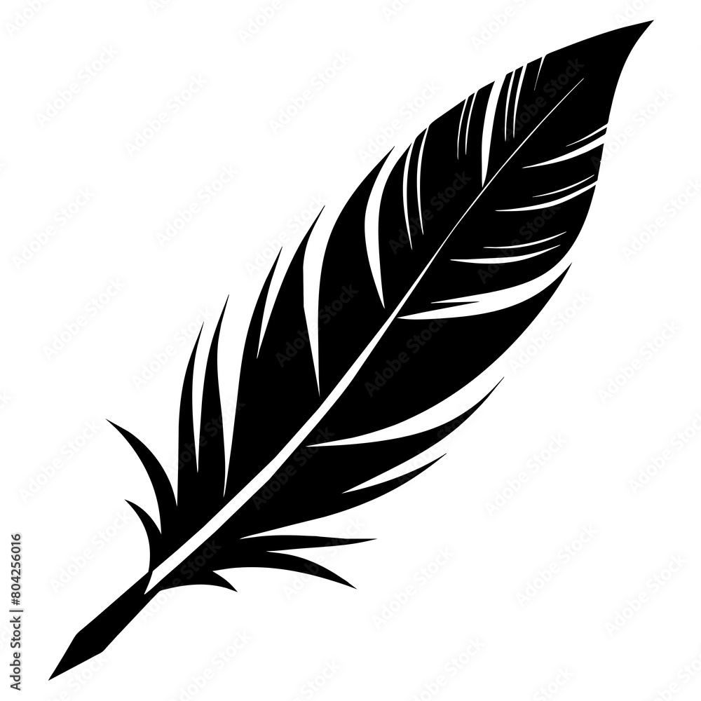 Obraz premium silhouette of a feather