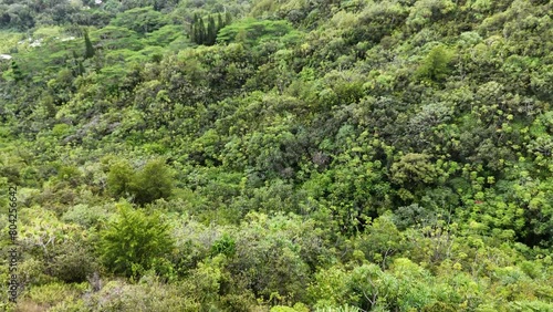 Hawaii Koʻolau Range mountains jungle drone aerial video 4K