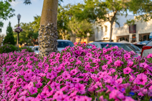 Fototapeta Naklejka Na Ścianę i Meble -  Winter Park, FL