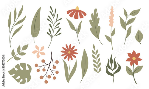 Set of vector flat plants isolated on white background