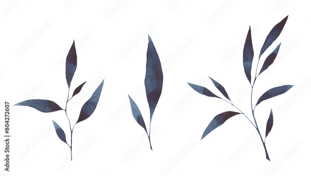 A set of dark blue watercolor twigs with leaves isolated on a white background, hand-drawn. Decorative botanical elements for design, celebration, decoration. The texture of watercolor on paper. A set of dark blue watercolor twigs with leaves isolated on a white background, hand-drawn. Decorative botanical elements for design, celebration, decoration. The texture of watercolor on paper.