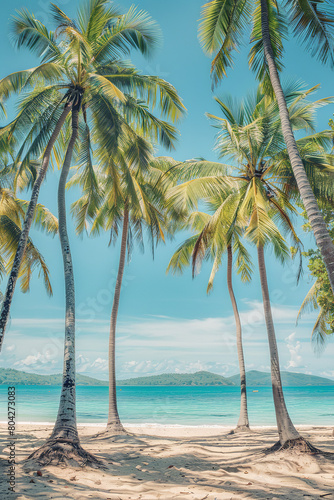 Tropical Beach with Palm Trees and Clear Turquoise Sea  