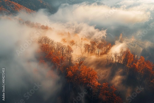 Aerial view of mountain forest in low clouds at sunrise in autumn. Hills with red and orange trees in fog in fall. Beautiful landscape with mountain  foggy forest  sunbeams. generative ai.