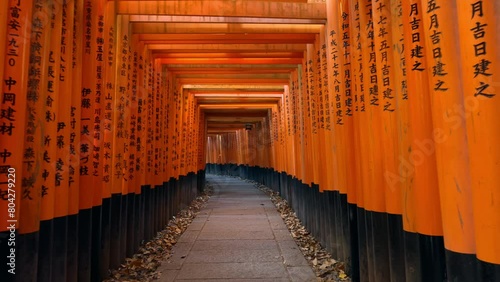 Kyoto, Japan, walking through the iconic red torii gates at Fushimi Inari Shrine. photo