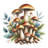 Vintage Mushroom Sublimation Clipart