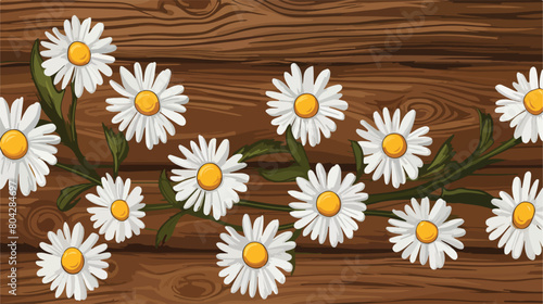 Fresh chamomile flowers on wooden background 2d fla © Vector