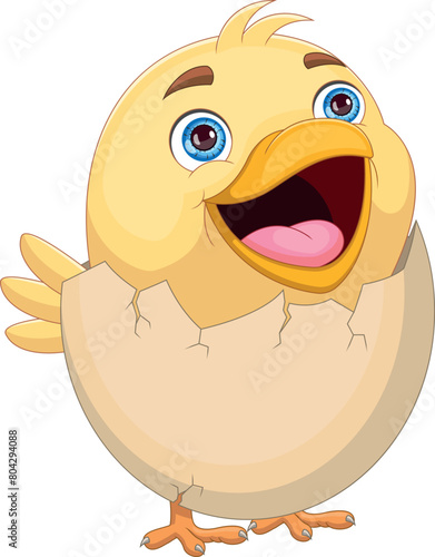 cartoon chick hatching from egg © lawangdesign