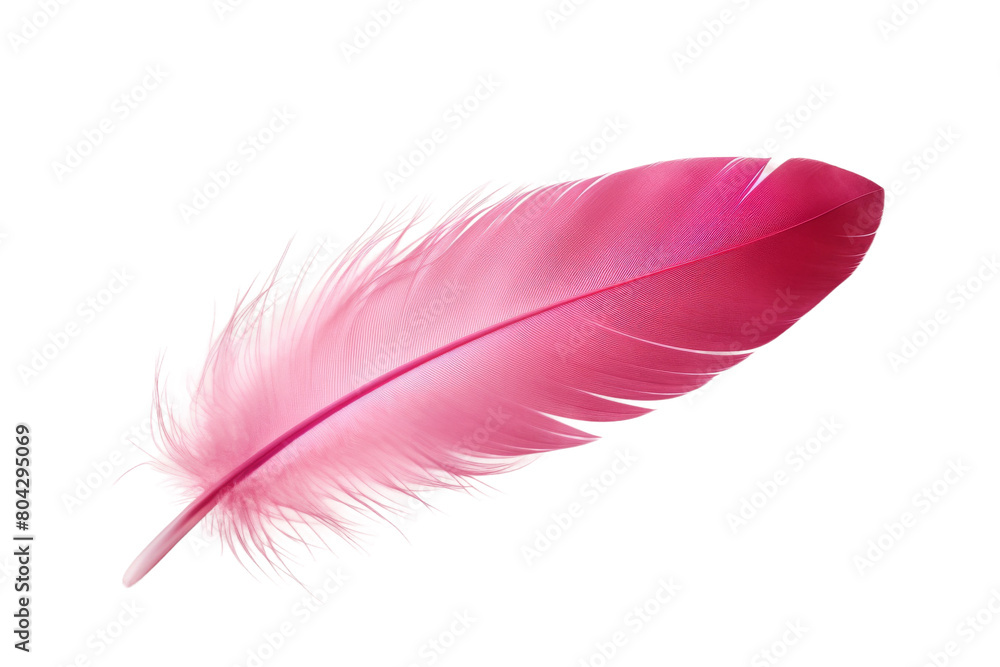 Whispers of Softness. On a White or Clear Surface PNG Transparent Background. Whispers of Softness. On a White or Clear Surface PNG Transparent Background.