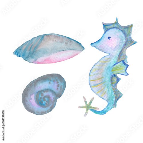 seahorse and seashells ocean set watercolor illustration isolated on white background base for design textile tableware stickers postcards banners. photo