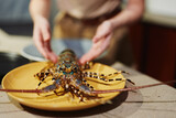 Person holding lobster on yellow plate on kitchen counter top