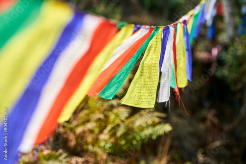Colorful Tibetan prayer flags flutter in wind in green Kathmandu forest symbolizing serene ambiance and spiritual heritage of Nepali region, connection between earthly and spiritual realms