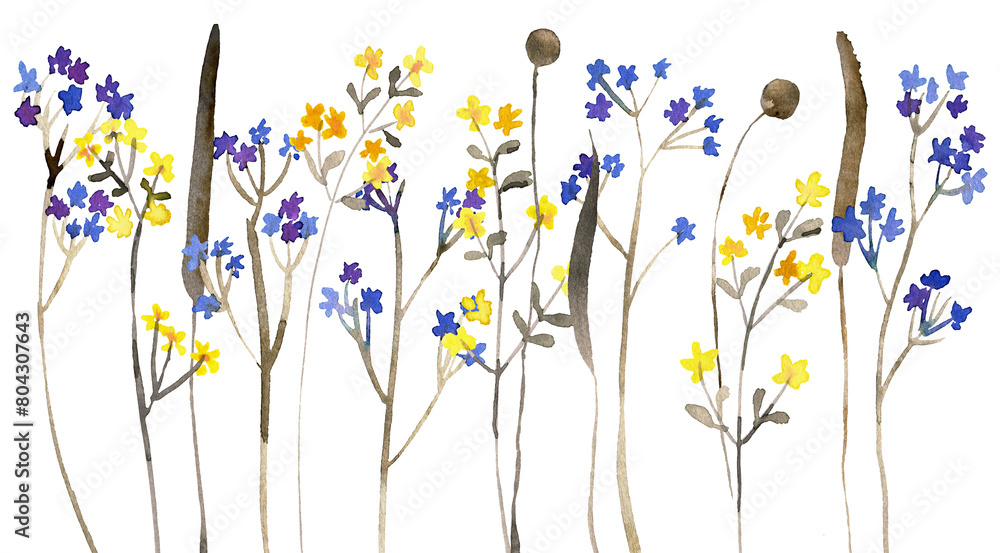 Watercolor hand painted wild flowers and herbs. PNG transparent illustration Watercolor hand painted wild flowers and herbs. PNG transparent illustration