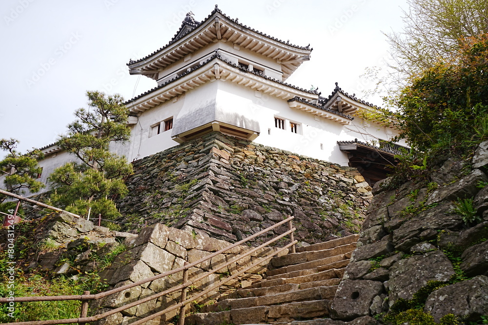 Wakayama-jo Castle with Spring Cherry Blossom in Wakayama, Japan - 日本 和歌山県 春の和歌山城 Wakayama-jo Castle with Spring Cherry Blossom in Wakayama, Japan - 日本 和歌山県 春の和歌山城