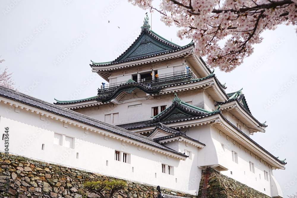 Wakayama-jo Castle with Spring Cherry Blossom in Wakayama, Japan - 日本 和歌山県 春の和歌山城 Wakayama-jo Castle with Spring Cherry Blossom in Wakayama, Japan - 日本 和歌山県 春の和歌山城