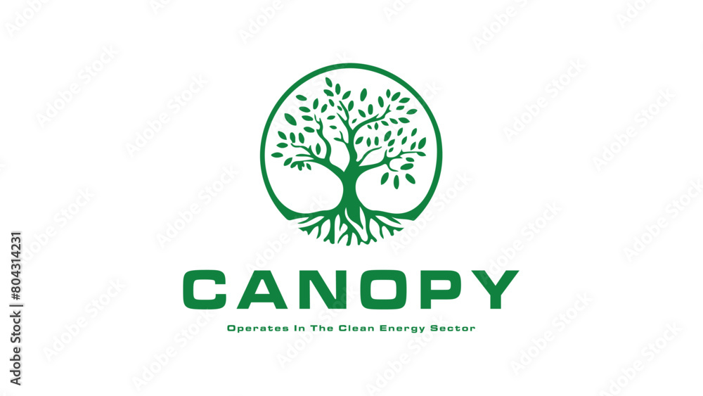 Professional Natural Logo Design Based on banyan Tree