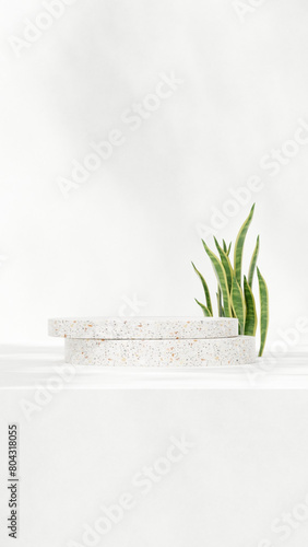 Premium 3D rendering mockup template terrazzo podium in portrait with snake plants