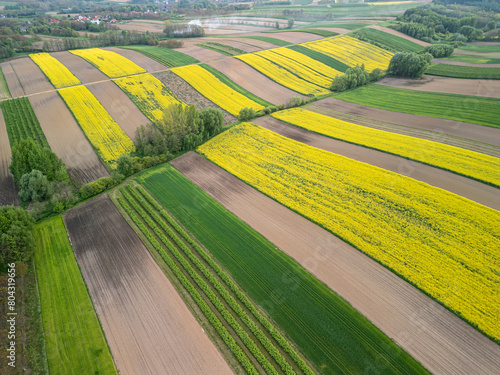 Undulating agricultural landscape of Podkarpackie province with fragmented land structure and rapeseed fields, Poland