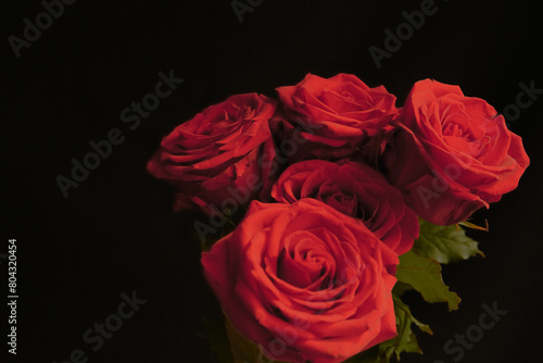 red rose flowers on a black background in bright light, bouquet of roses on a dark background