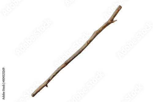 Mahl stick Isolated on transparent background