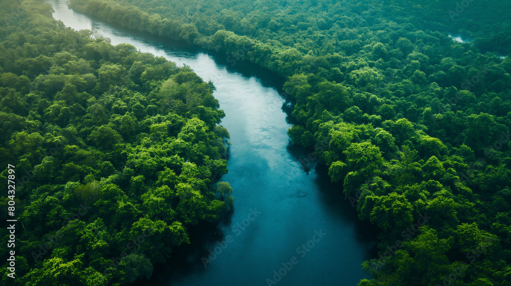 River top view landscape above forest, aerial map. River top view landscape above forest, aerial map.