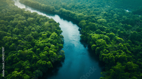 River top view landscape above forest, aerial map.