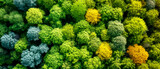Aerial view of a dense forest with a variety of green hues and a few yellow trees, natural background, concept of biodiversity, Generative AI. Generative AI