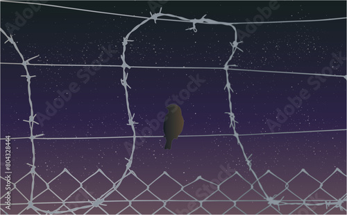 illustrated night sky with behind the top of a barbed wire fence with a bird perched on the wire