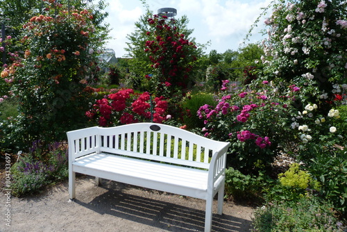 Weiße Bank und Rosen in der Parkanlage Europa-Rosarium der Rosengarten in Sangerhausen