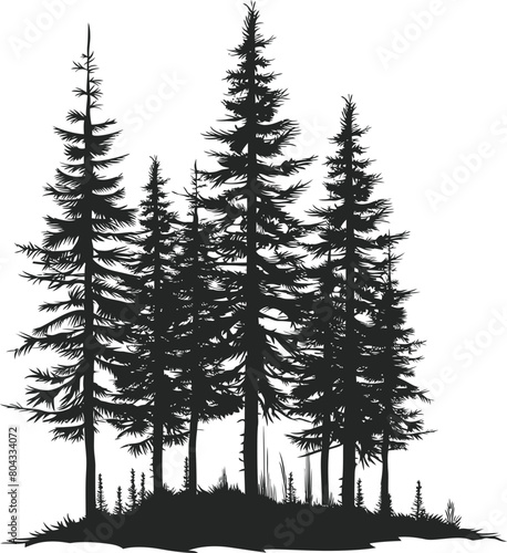 Pine trees silhouette vector